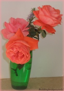roses from my garden