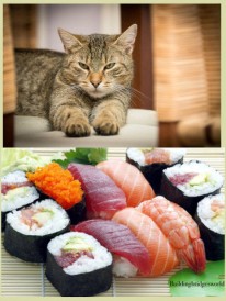 cat who refuses sushi