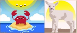 animal and sun illustration